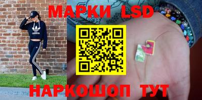 mdpv Славгород