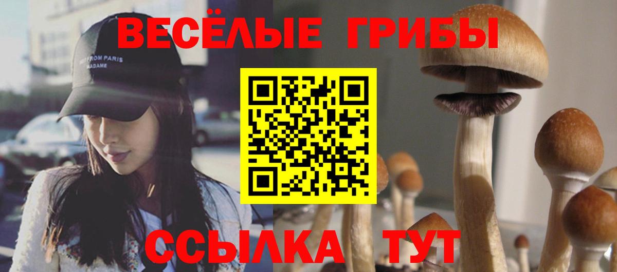 Галлюциногенные грибы прущие грибы Шарыпово